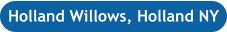 Holland Willows, Holland NY